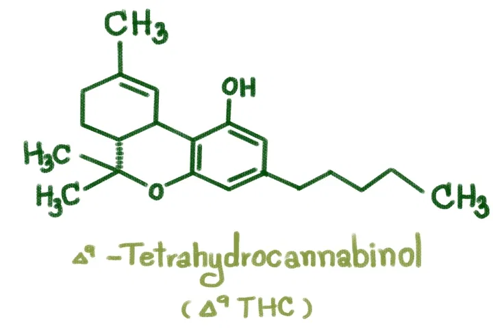 Different types of thc: delta-9 thc