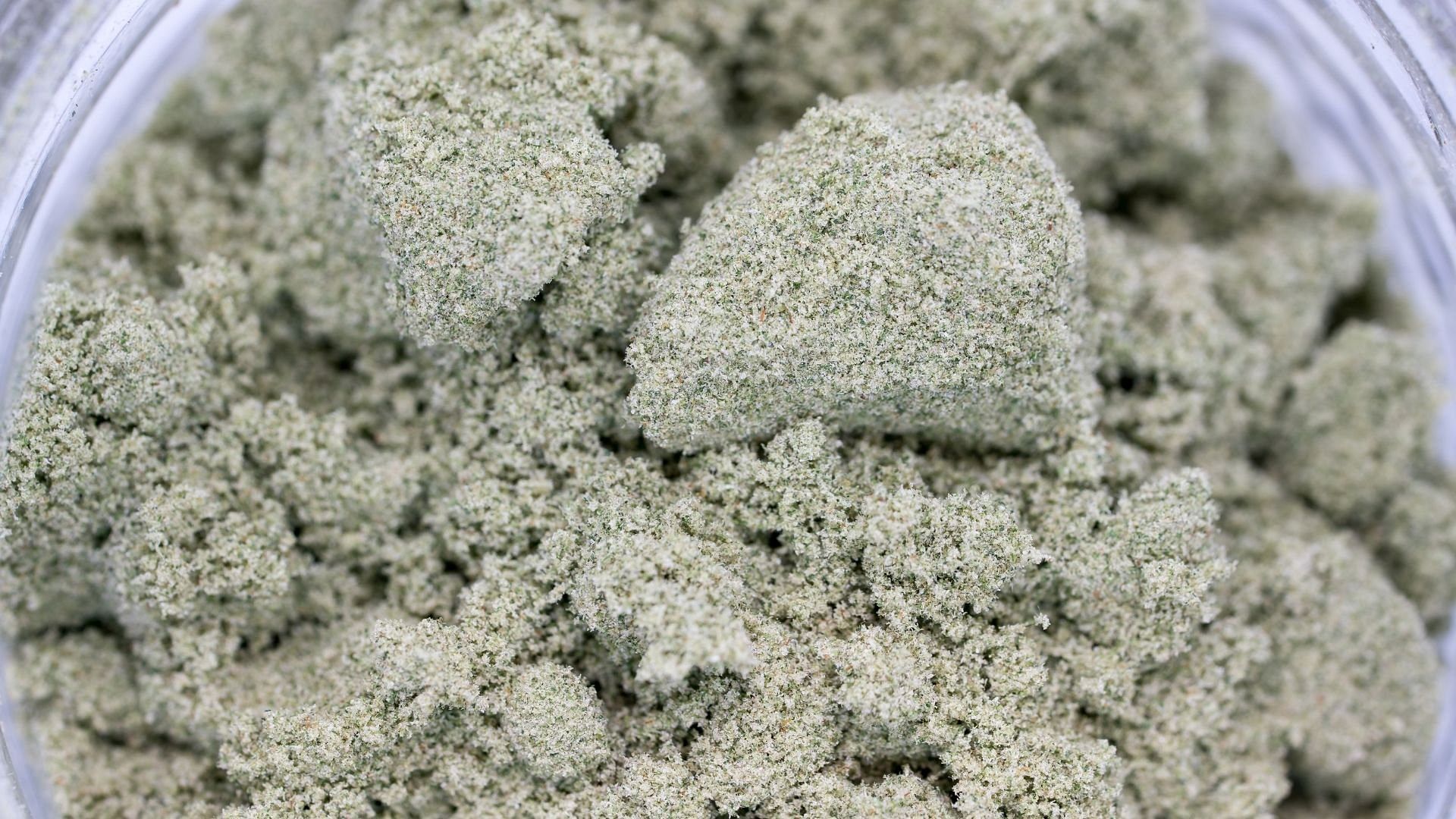 How to Make Hash: Dry-sift, Charas, and Bubble Hash - Sensi Seeds