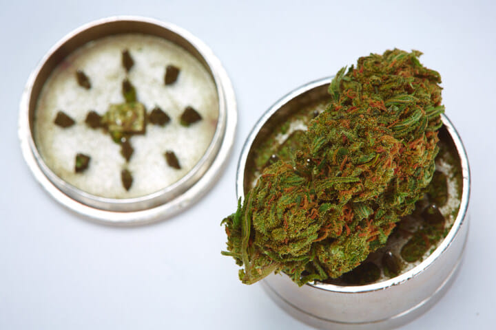 bud of durban poison landrace cannabis