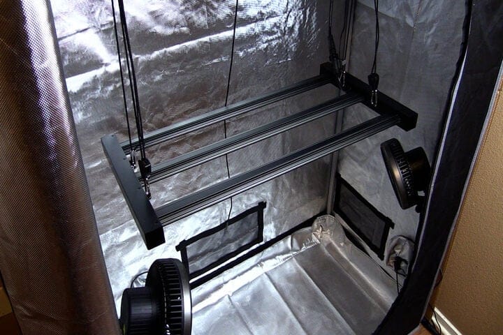 Cannabis grow light placement