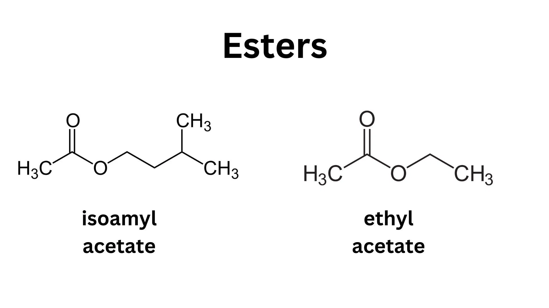 Esters play a role in shaping aroma