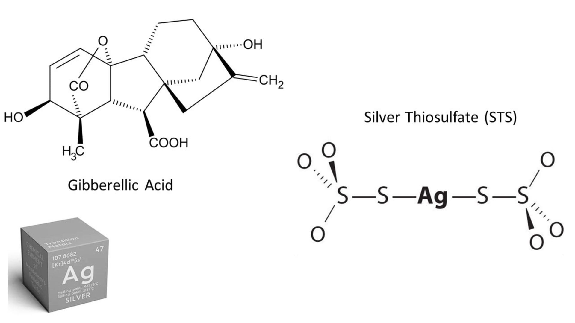 Gibberellic acid and silver thiosulfate