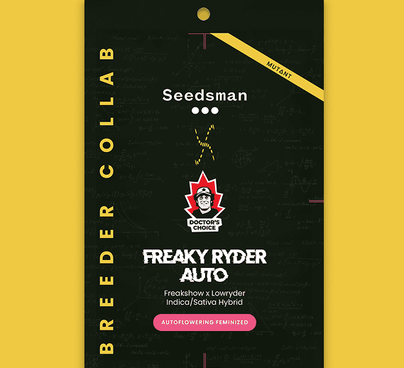 Freaky Ryder Auto Seeds