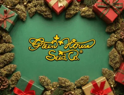 green house seed co christmas offers seedsman