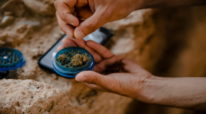 grinding cannabis