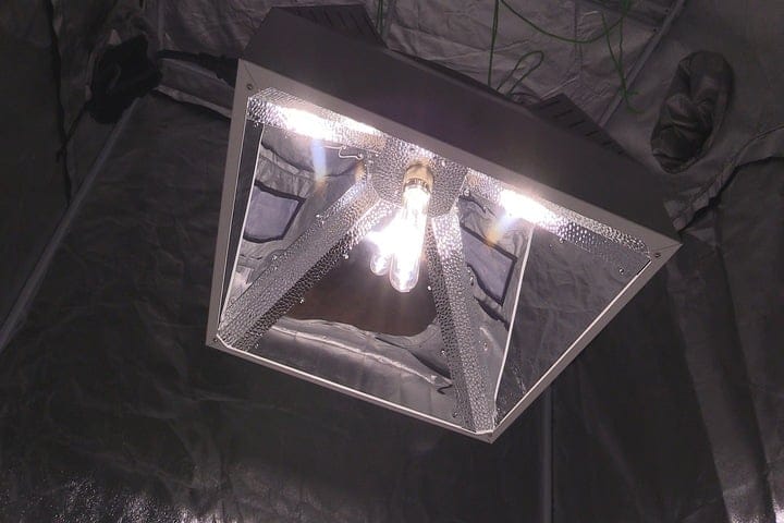 HID grow lighting