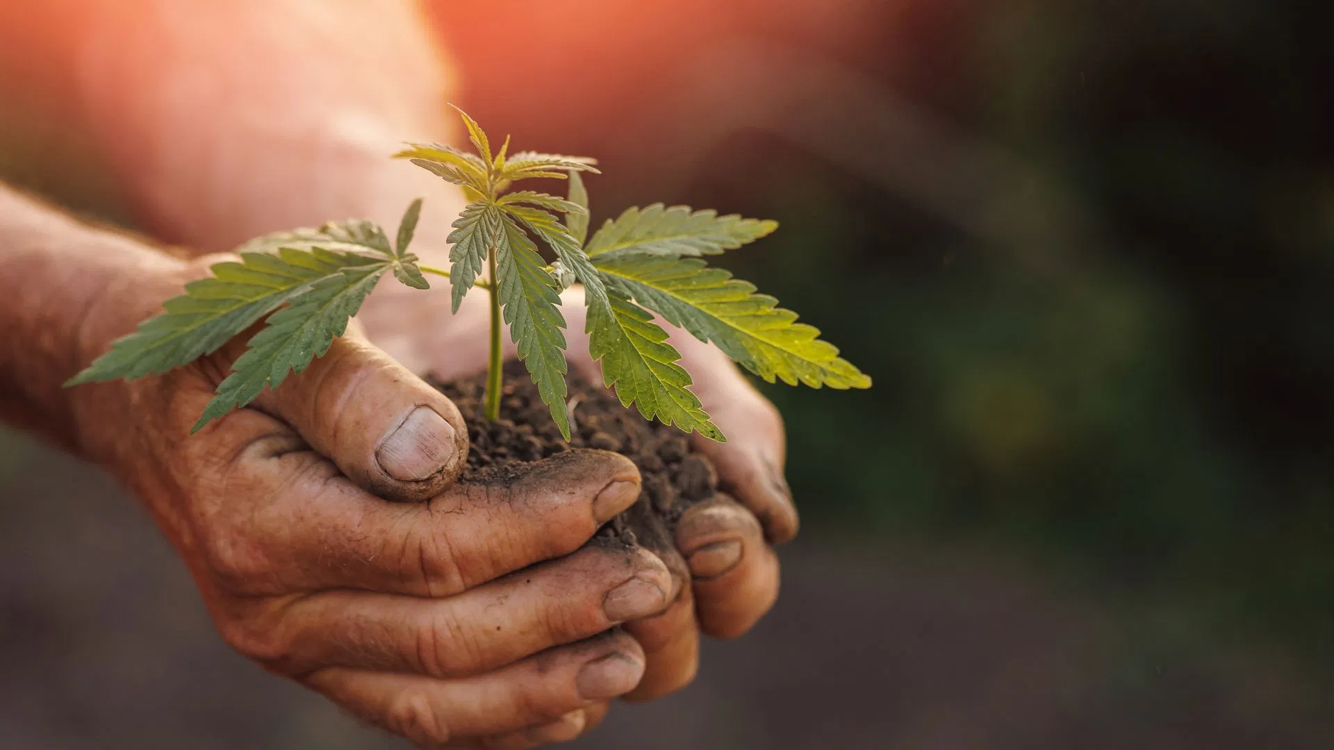 Make 2024 the year you start growing, or level up your growing