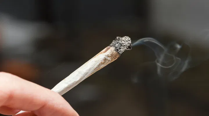hash joint