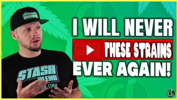 I Will NEVER Get These Genetics Again!