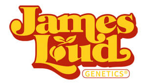 nightOwl Night Owl Seeds