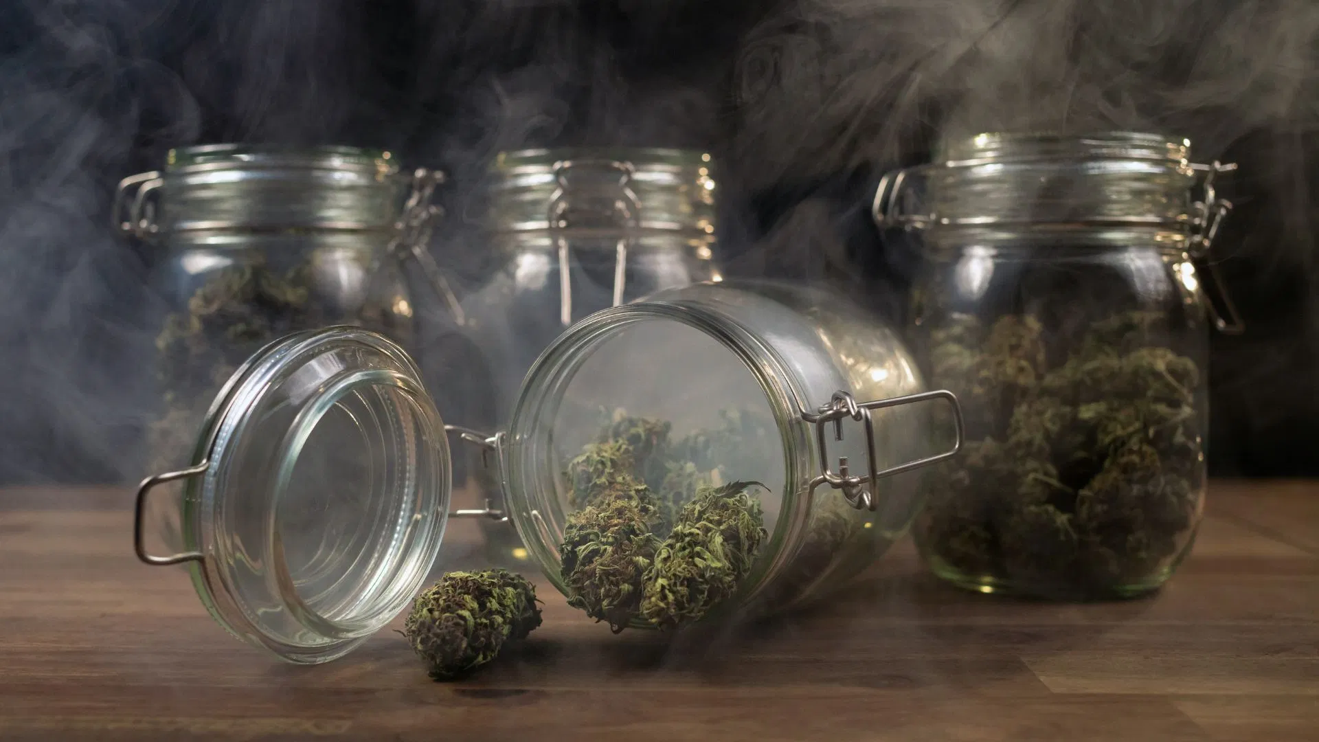The world's strongest strain is a whopping 33% THC