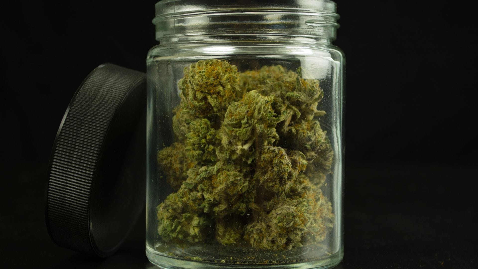 Burping your buds involves removing the lid for a short time every day during curing