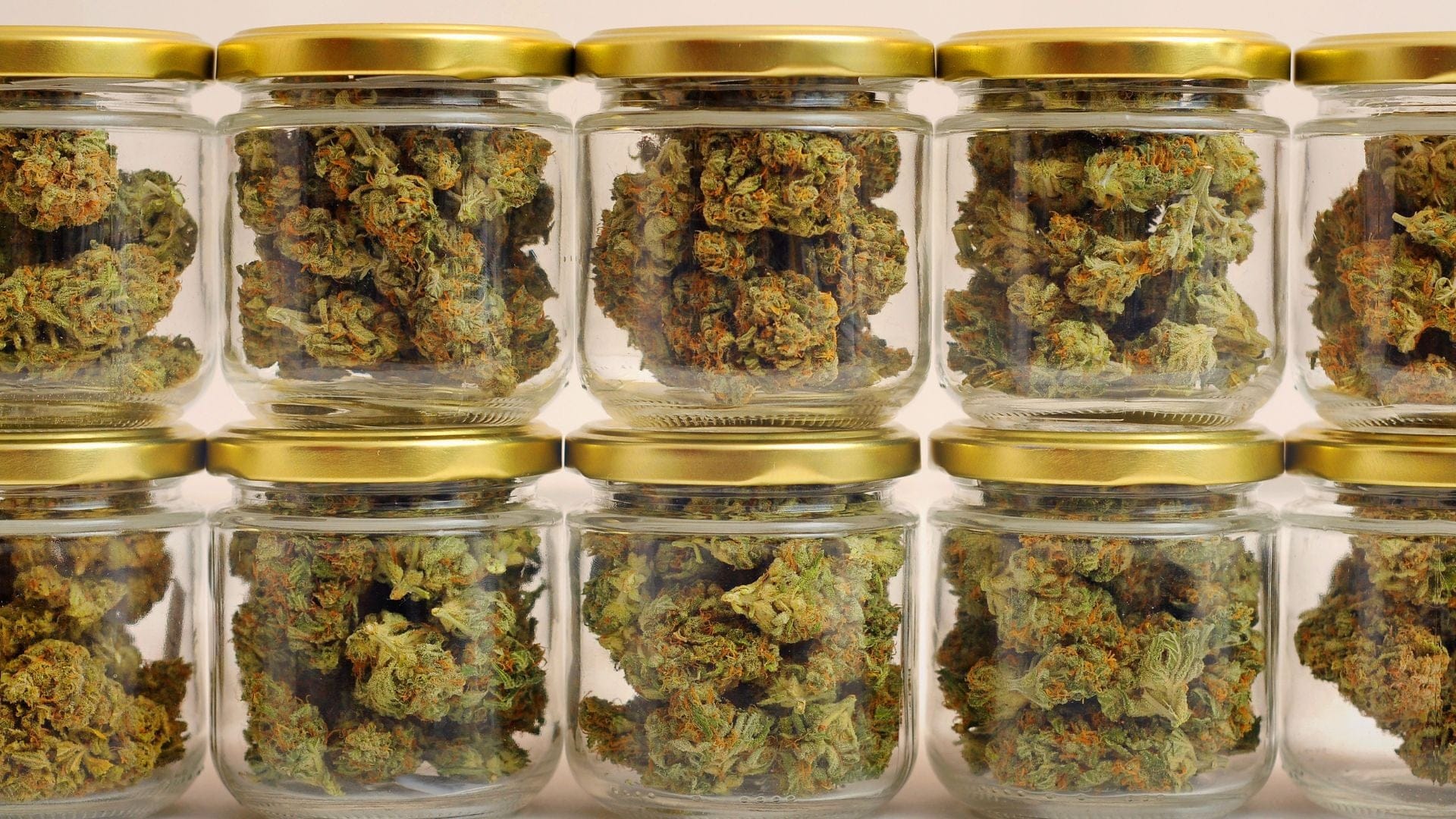 Makes ure you have suitable containers for storing harvested buds