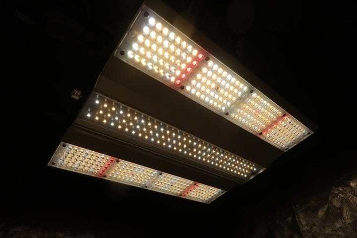 grow light efficiency