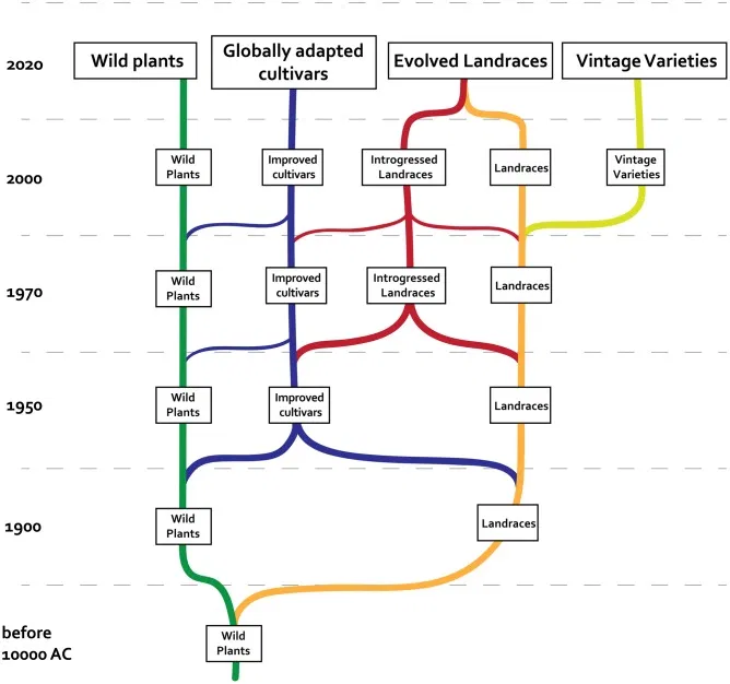 guide to landrace evolution