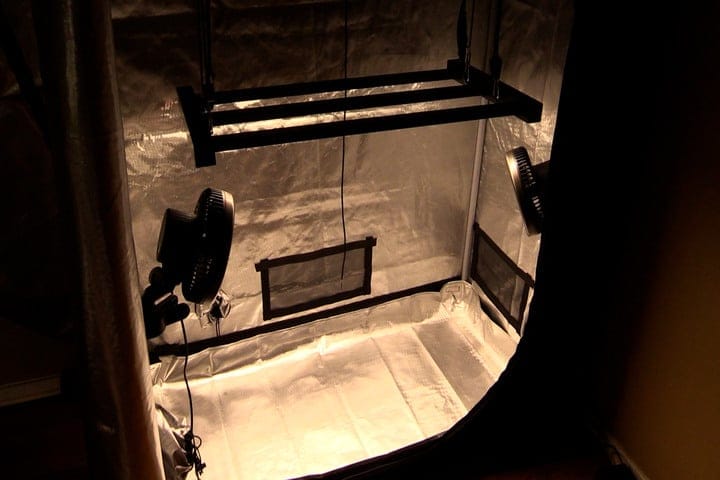 light is key to growing cannabis faster