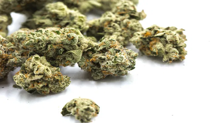 low odor buds