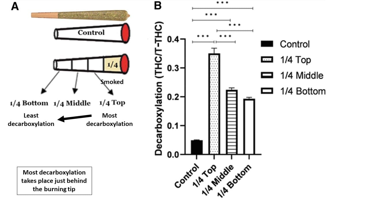 Decarboxylation is most prevalent at the top of the joint