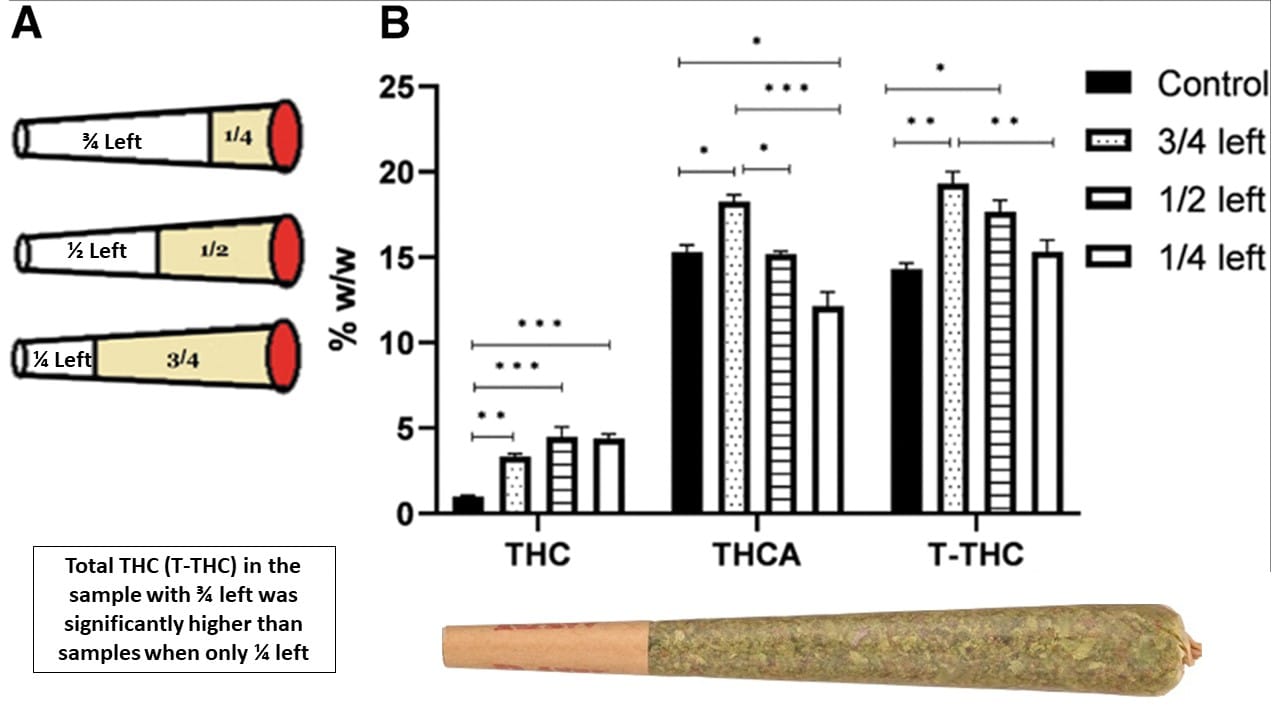 THC distribution also varies along the length