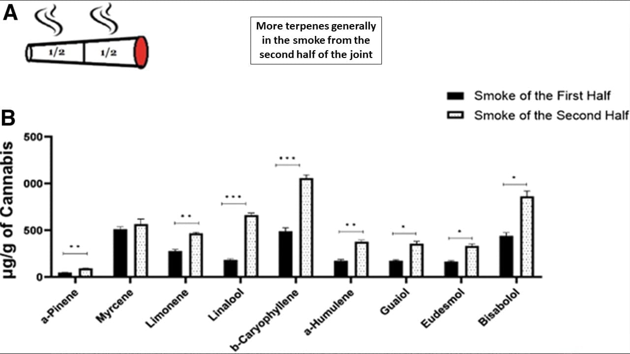 studies showing terpene distribution