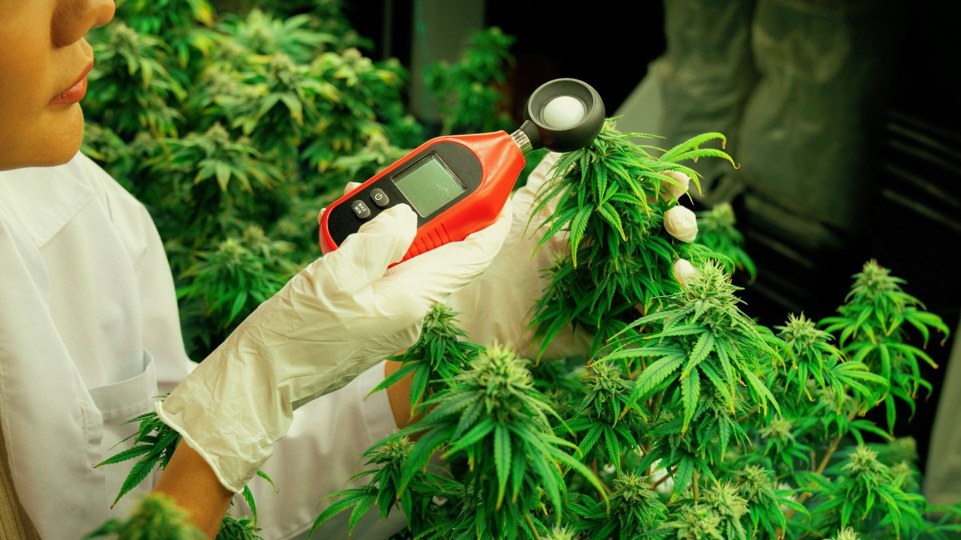 Check relative humidity with a hygrometer