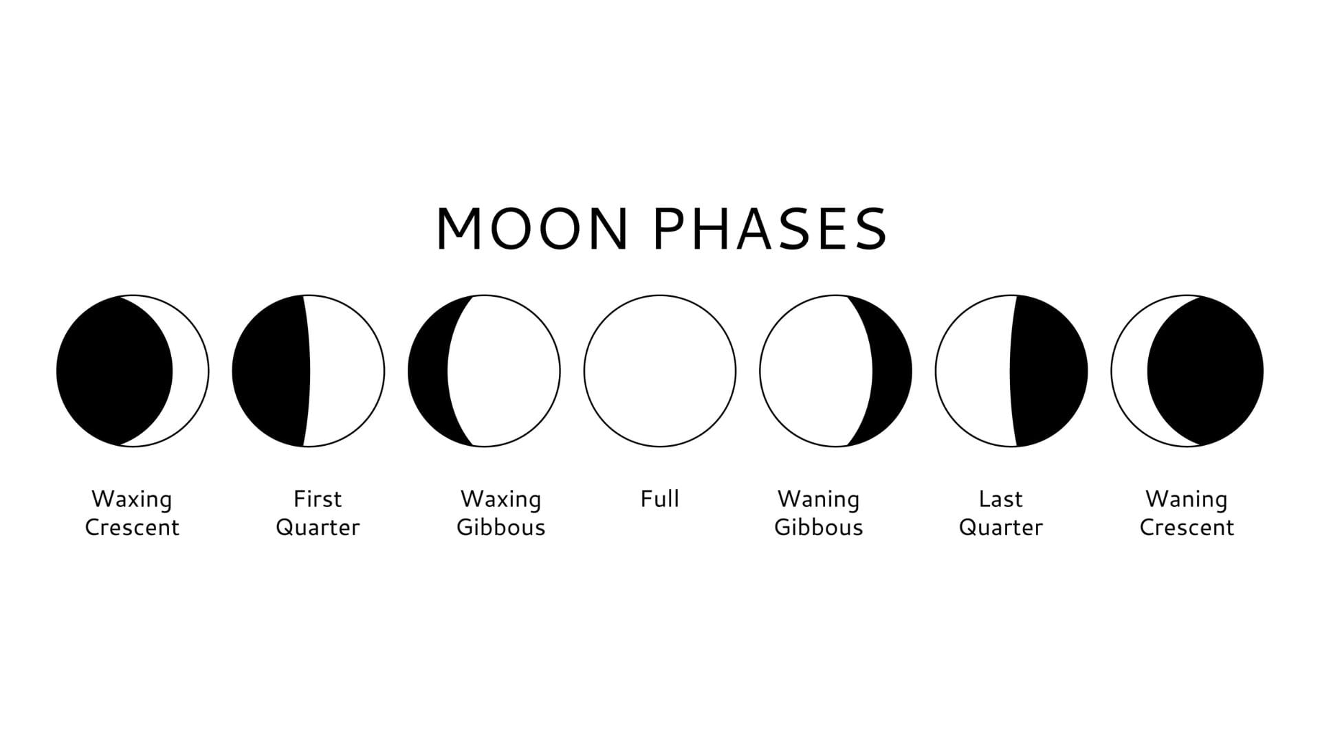 phases of the moon