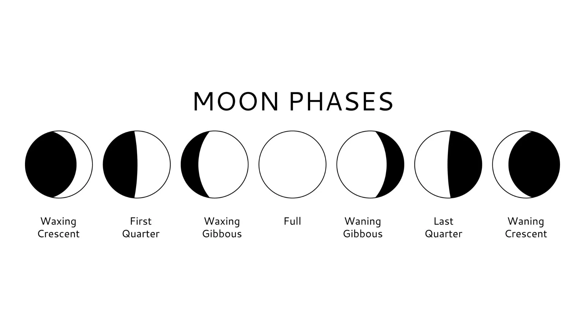 phases of the moon