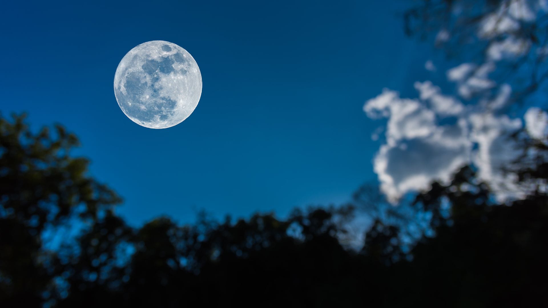 Lunar gardening is popular despite a lack of concrete evidence