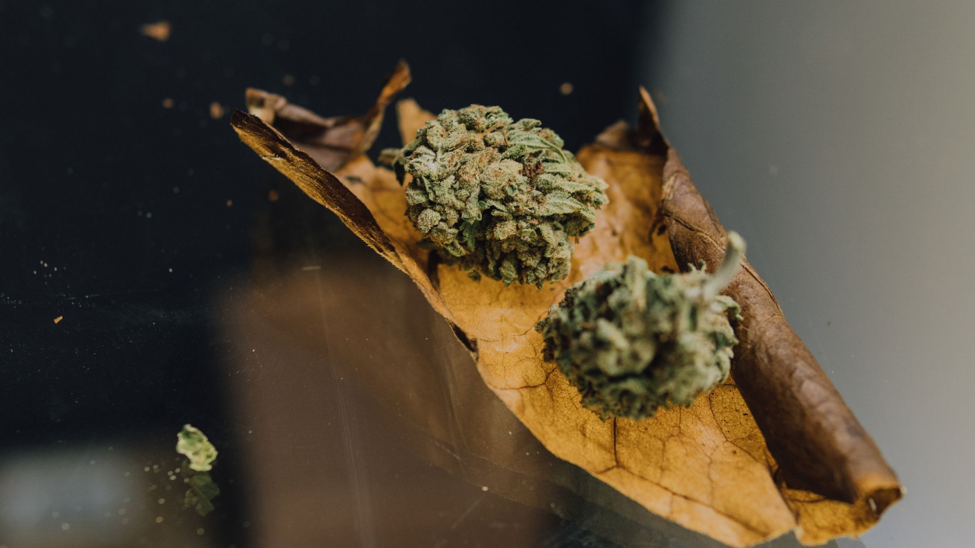 Open cigar wrap Backwoods style