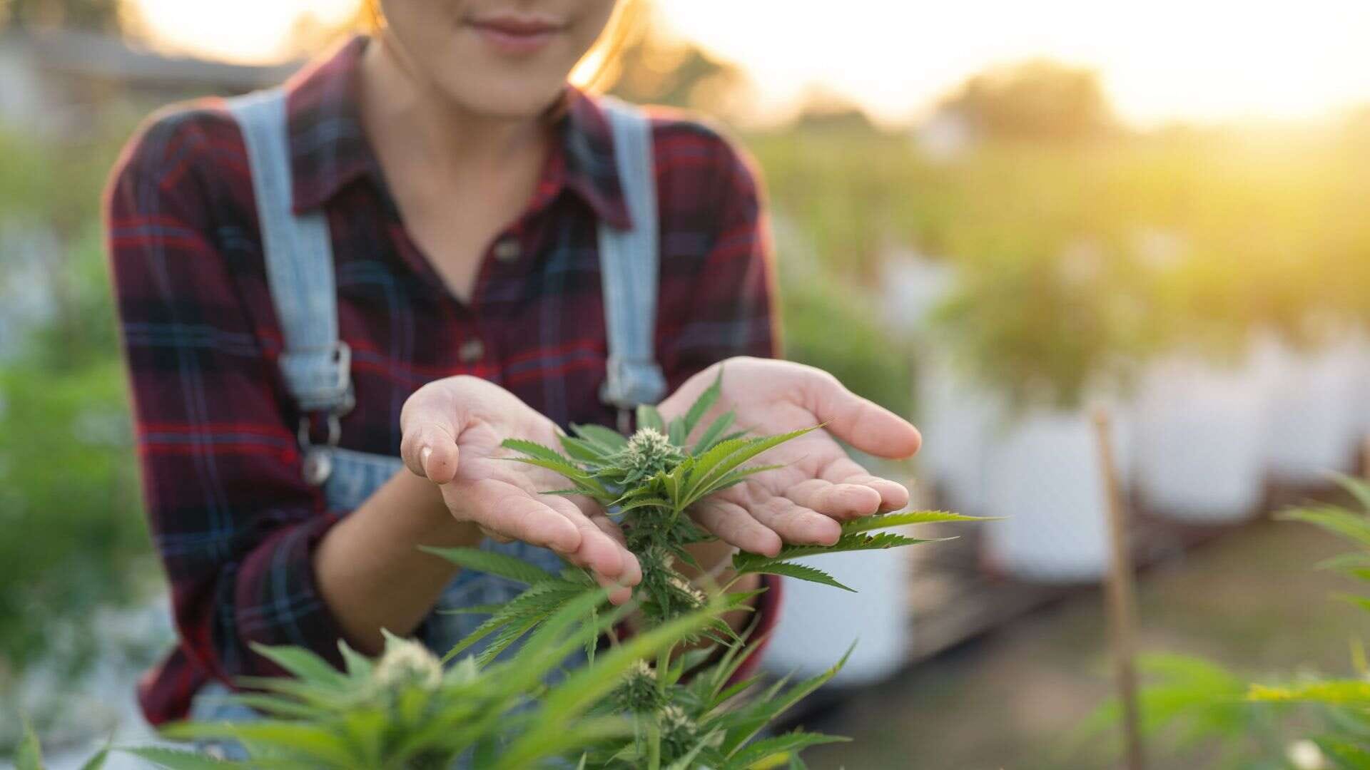 Outdoor growing: The rewards outweigh the challenges