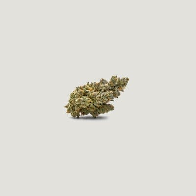 Purple City Genetics Fez