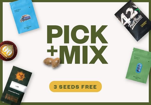 Choosing the best cannabis seeds for you. Understanding which