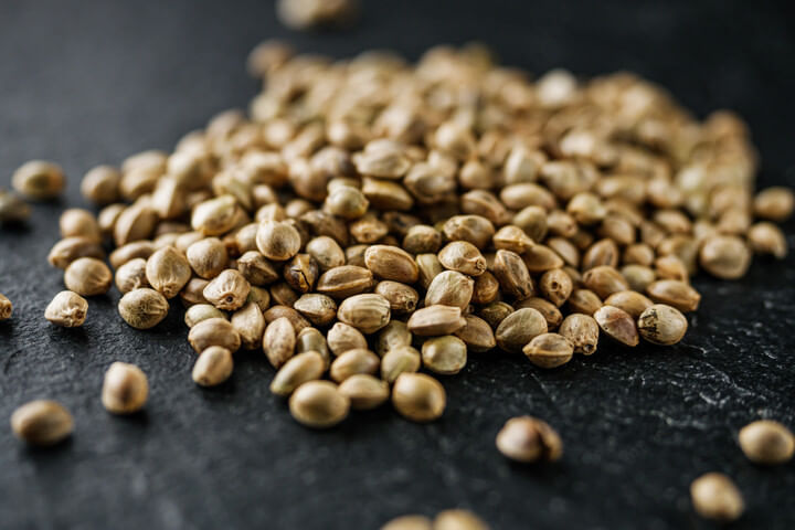 healthy cannabis seeds