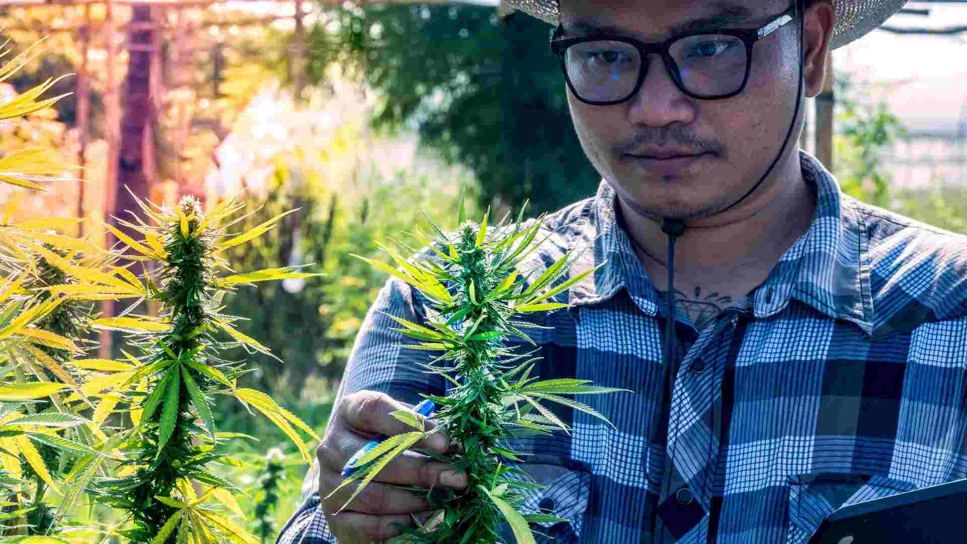 Inspect plants regularly