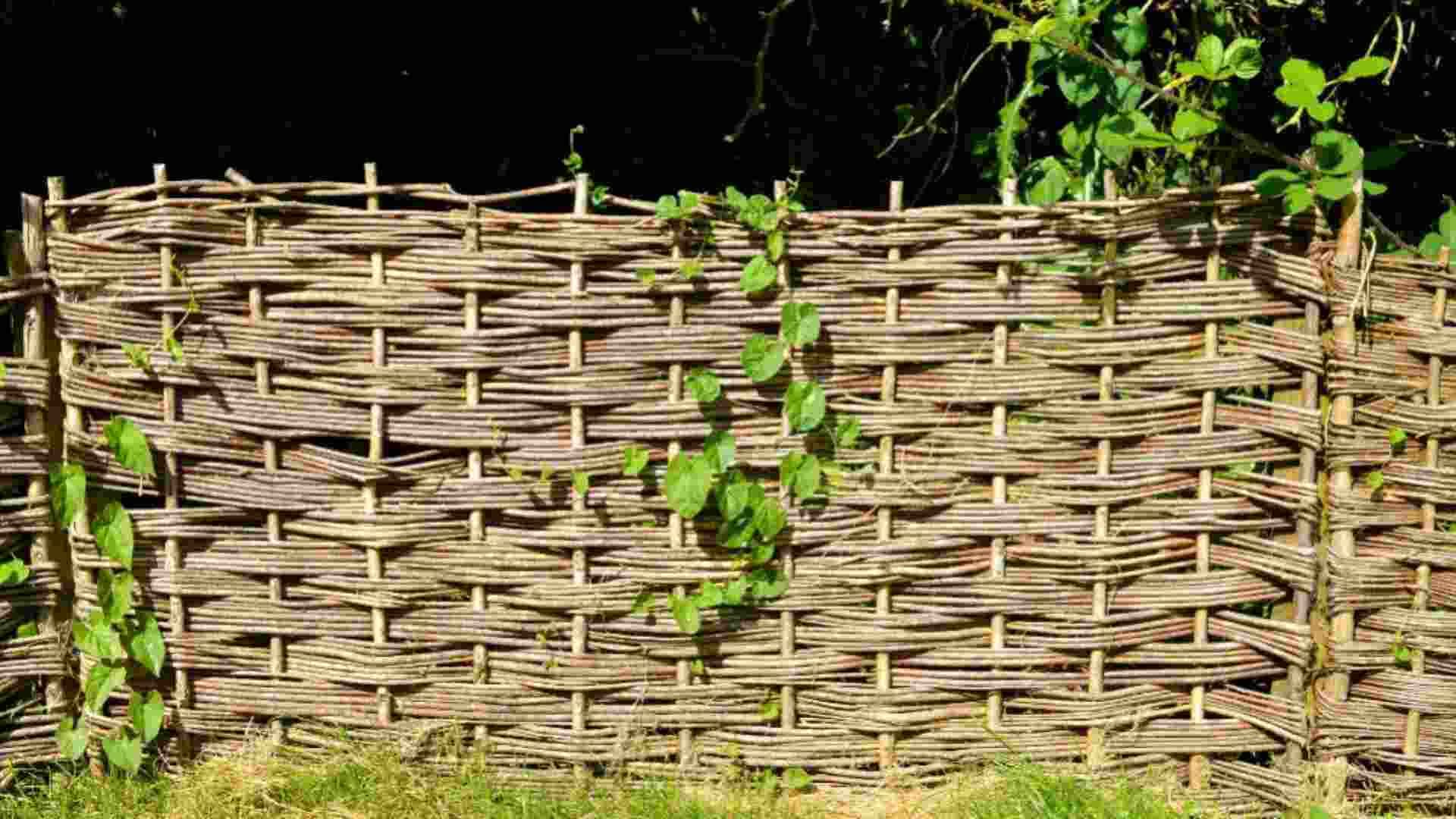 Garden windbreak