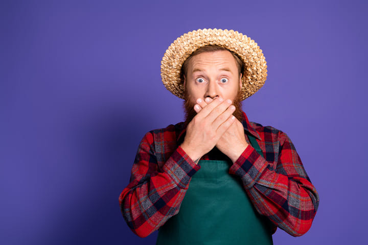 mistakes to avoid when planting cannabis seeds