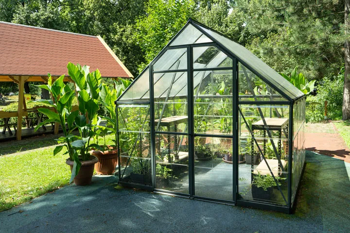 Which greenhouse for growing cannabis?
