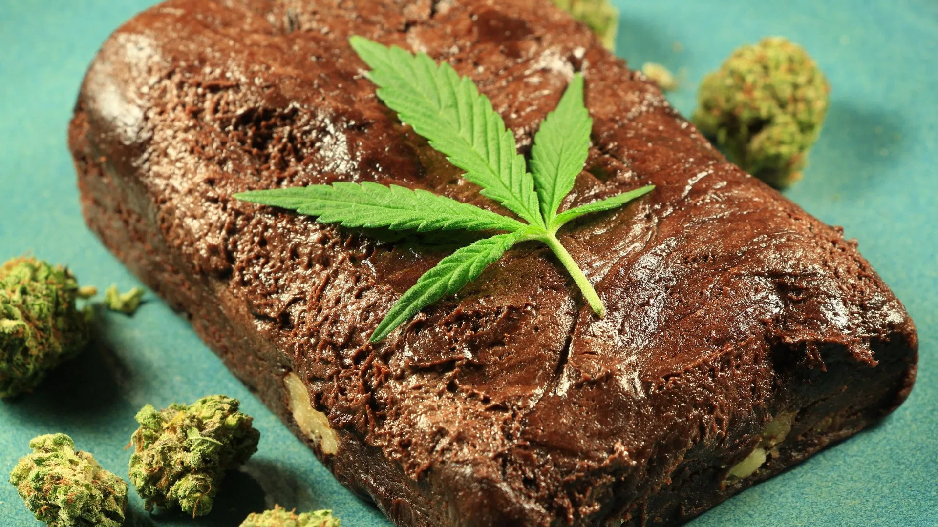 The World's biggest edible brownie weighed in at 385kg