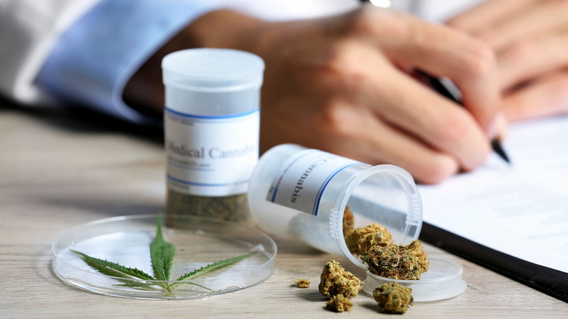 Prescription cannabis recommendations are tailored to the individual