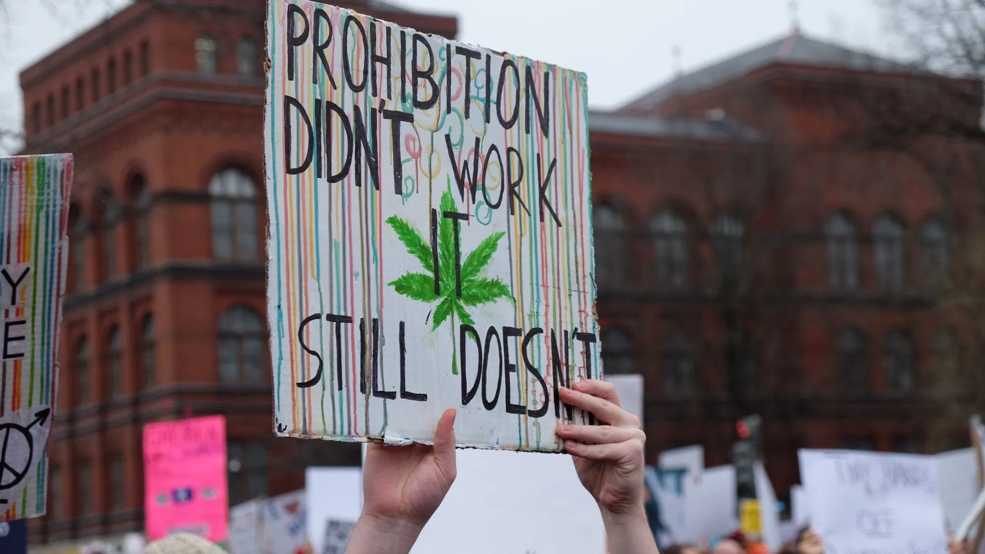 Cannabis Prohibition