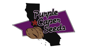 solfire Solfire Gardens