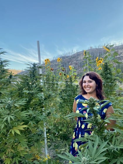 Queen of the Sun Grown Blaze 2025