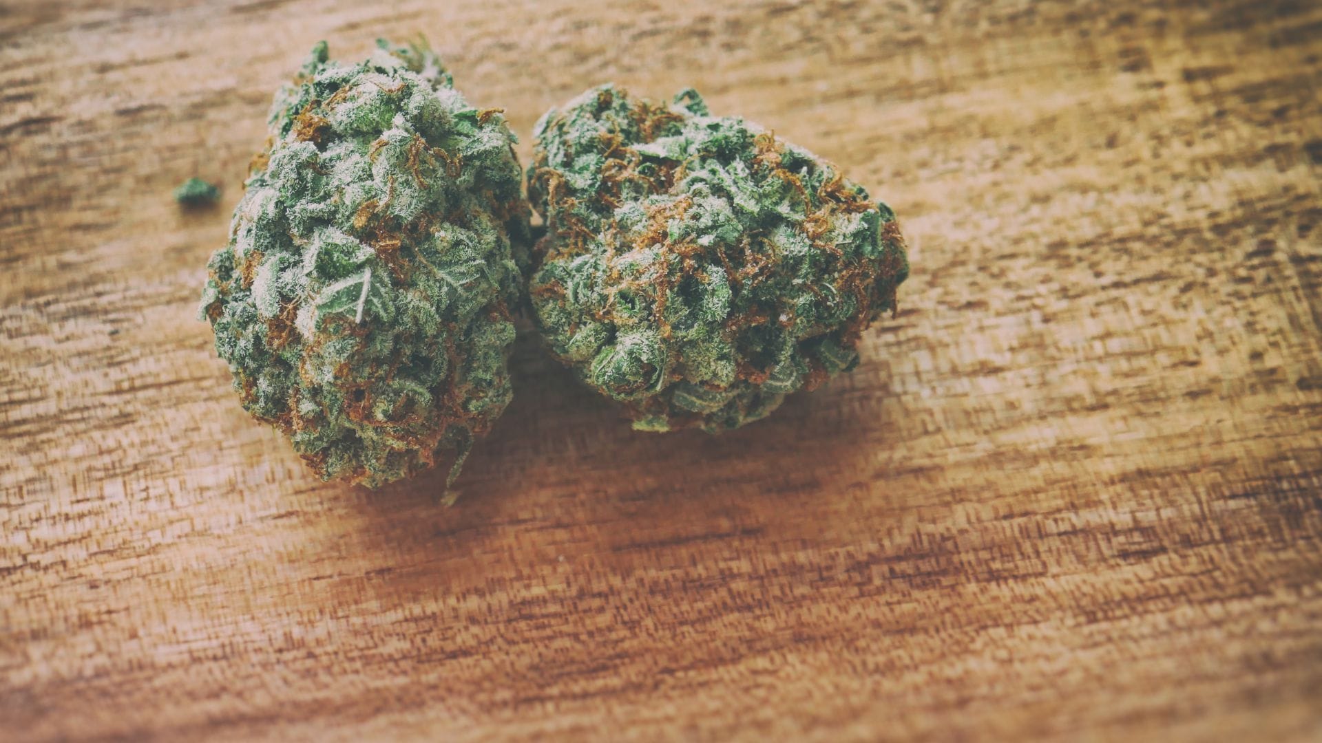 Super SIlver Haze was an instant success