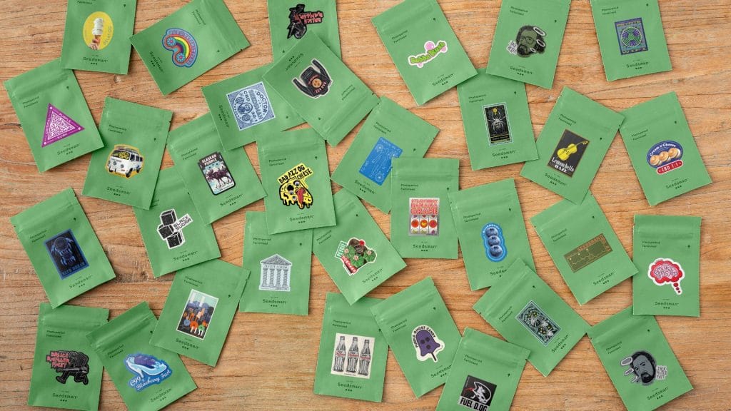 Cannabis Seeds In Packs