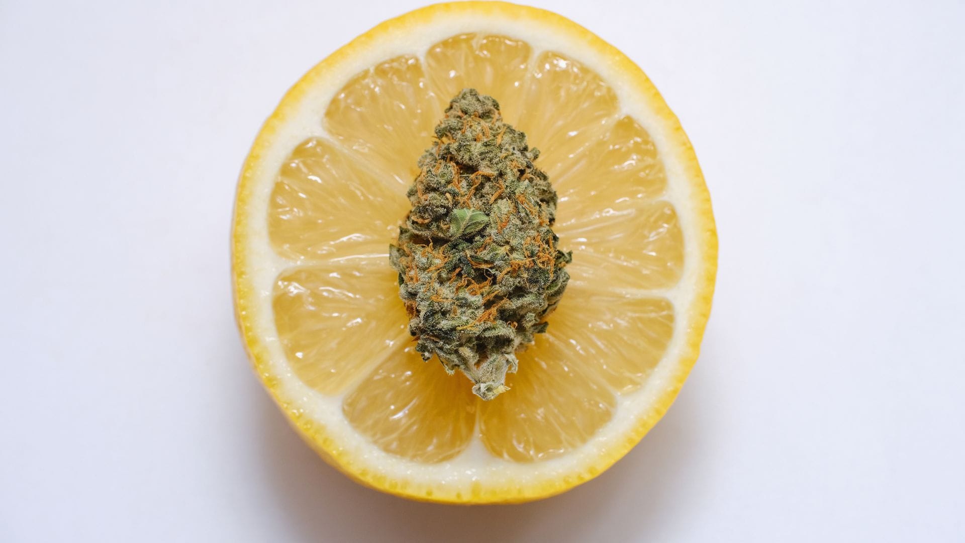 food gets you stoned