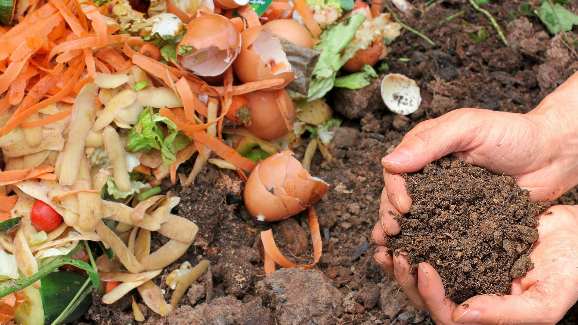 Making Your Own Cannabis Potting Mix