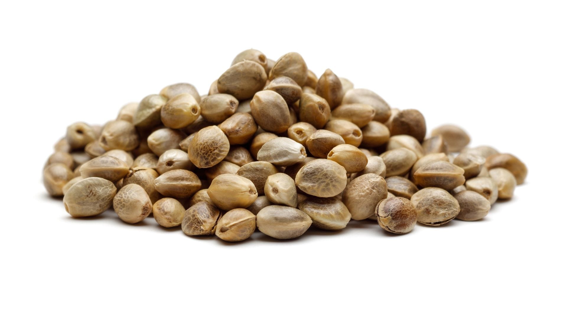 what are cannabis seeds