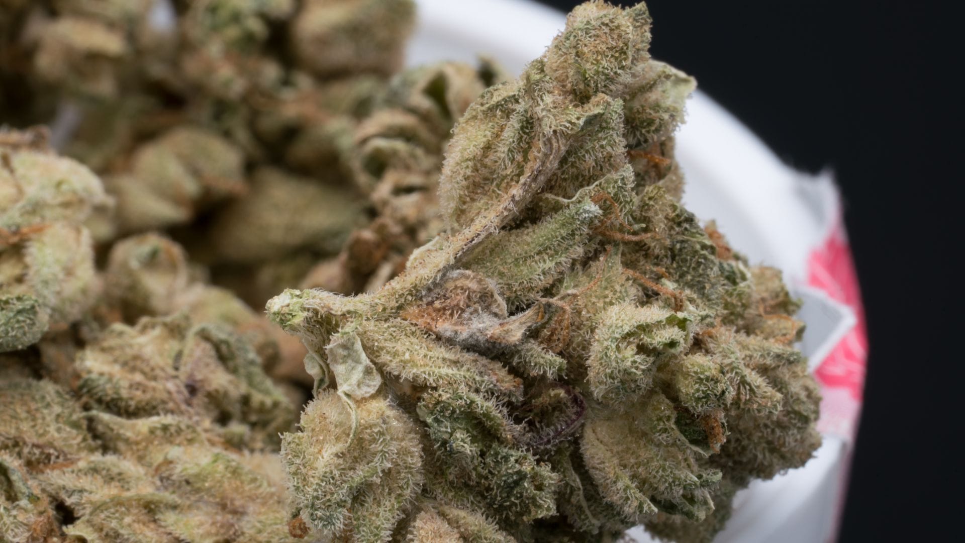 Cannabis buds brown and brittle