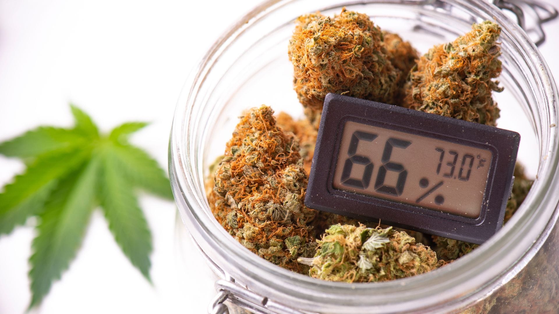 Storing cannabis at the right temperature