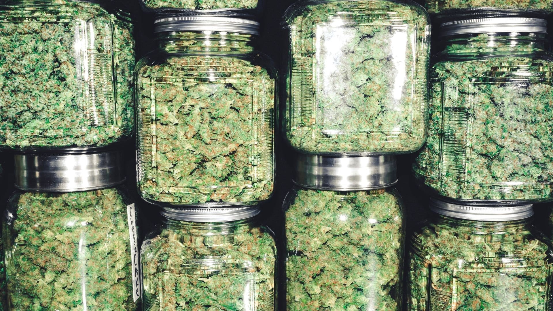 Cannabis buds last longer in glass jars